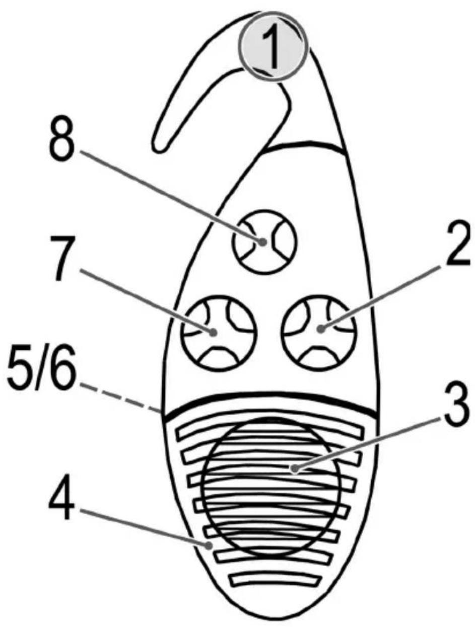 AEG DR 4135 - 3mict - 1