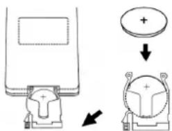 DUAL P55 - Nota: - 2