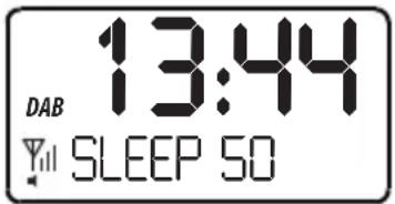SEG CR 117 DAB+ - VEILLE AUTOMATIQUE - 1