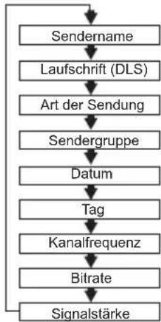 SEG CR 117 DAB+ - Anzeigen am Display - 1