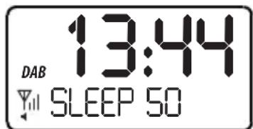 SEG CR 117 DAB+ - VEILLE AUTOMATIQUE - 1