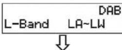 SANGEAN DCR9 - L-Band-SenderfürKanadawählen(nurDCR-209) - 3