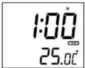AudioSonic CL474 - Zomertijd - 1