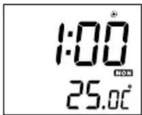 AudioSonic CL474 - DST (Heure d'été) - 1