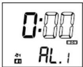 AudioSonic CL474 - TIME AND CALENDAR SETTING - 9