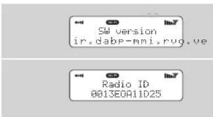 REVO Iblik WiFi - Software Version and Radio ID - 1
