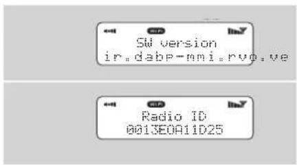 REVO Iblik WiFi - Software Version and Radio ID - 1