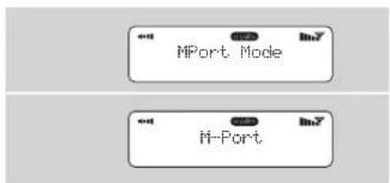REVO Iblik WiFi - Gebrauch des M-Port (Aux in) - 2