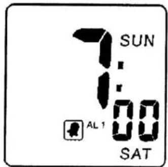 ELTA 4556 - ALARM 1 SETTING - 4