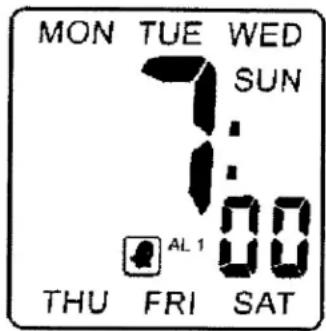 ELTA 4556 - AKTUELLE ZEIT EINSTELLEN ODER ZURÜCKSETZEN - 3