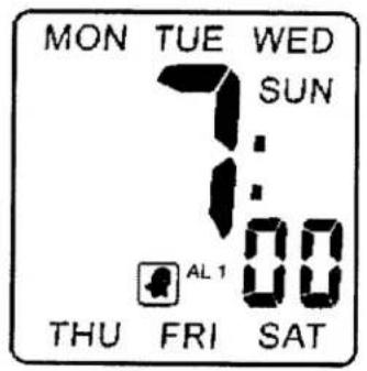 ELTA 4556 - ALARM1 AYARI - 6