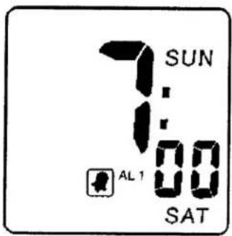 ELTA 4556 - ALARM 1 SETTING - 8