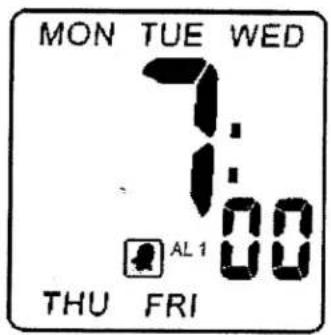 ELTA 4556 - ALARM 1 SETTING - 3