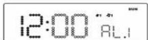 ELTA 4518 - f. RTC Min Set Mode - 3