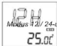 ELTA 4521 - 12/24-uursformaat weergeven - 1