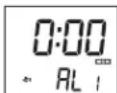 ELTA 4521 - Setting the alarm mode - 2