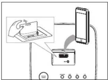 Terris RWI 232 - Collocazione dell'iPod sul supporto e avviamento - 1