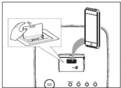 Terris RWI 232 - iPod auf die Halterung setzen und starten - 1