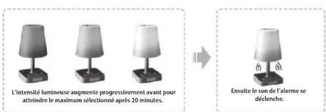 MT Logic CL501MTB - RéGLAGE DU DÉCLENCHEMENT DE L'ALARME - 6