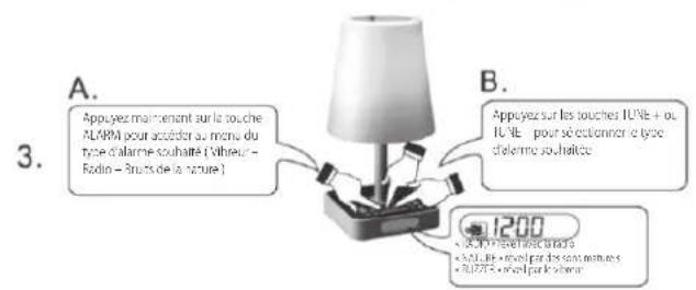 MT Logic CL501MTB - RéGLAGE DU DÉCLENCHEMENT DE L'ALARME - 3