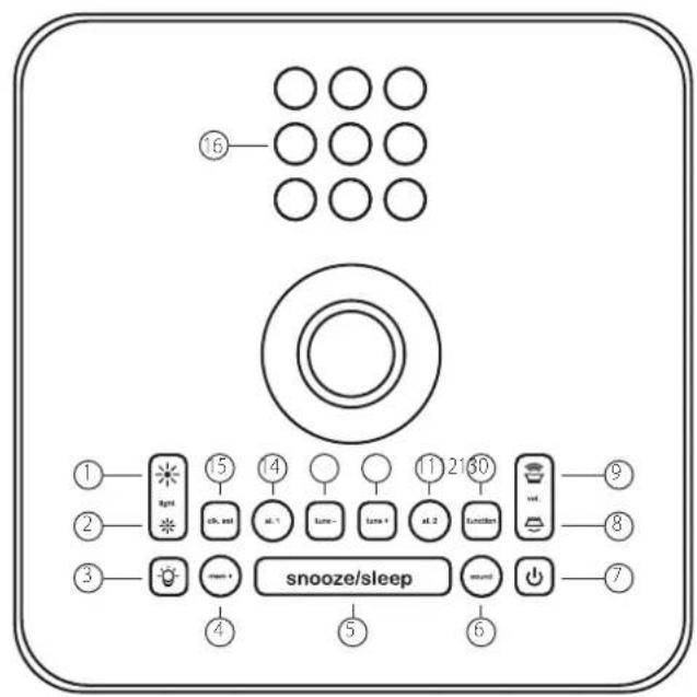 MT Logic CL501MTB - Rückansicht - 1