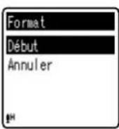 OLYMPUS VN8000PC - Format [Format] - 2