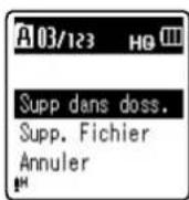 OLYMPUS VN8000PC - Effacement - 6