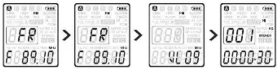dnt HSQ2010 - Manually tune to a radio station - 1