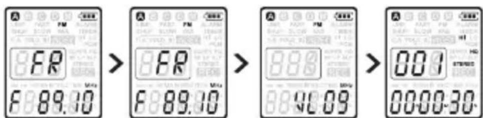 dnt HSQ2010 - Radiosender manuell einstellen - 1
