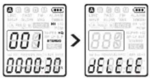 dnt HSQ2010 - Loschen - 1