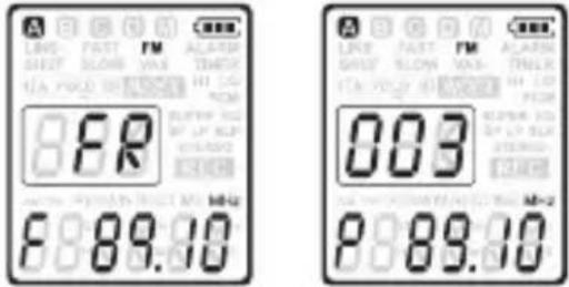 dnt HSQ2010 - Voreingestelltener Sender wiedergeben - 1