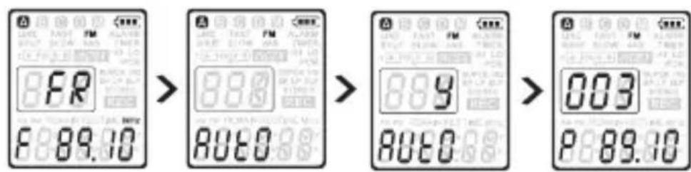 dnt HSQ2010 - Auto tune radio stations - 1