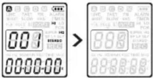 dnt HSQ2010 - Versteckte Aufnahme - 1
