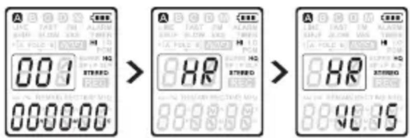 dnt HSQ2010 - Aide auditive - 1