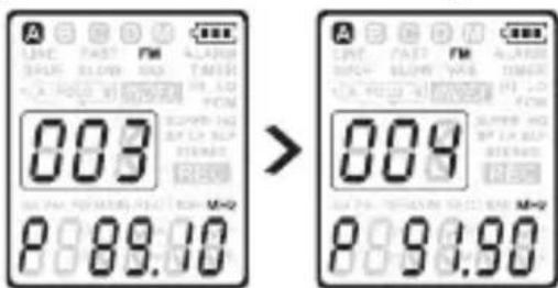 dnt HSQ2010 - Voreingestellen Senderlöschen - 1