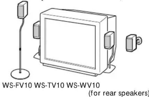 SONY SAVE312 - Setting other speakers - 1