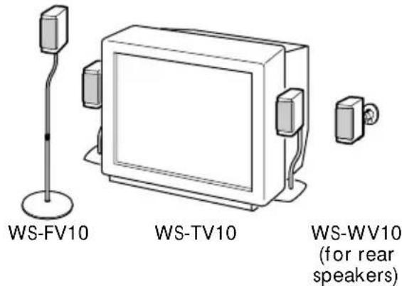 SONY SAVE302 - Setting up other speakers - 1