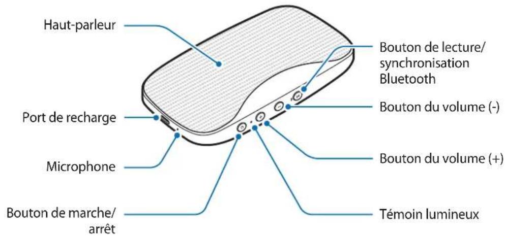 SAMSUNG Level box mini EOSG900 - Présentation de l'appareil - 1