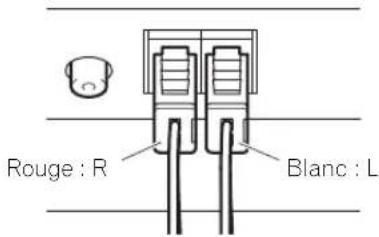 PIONEER Kuro KRPS02 - Branchement des câbles d'enceinte (côté moniteur à écran plat) - 1