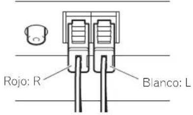 PIONEER Kuro KRPS02 - Conecte los cables del altovoz (monitor de pantalla plana) - 1