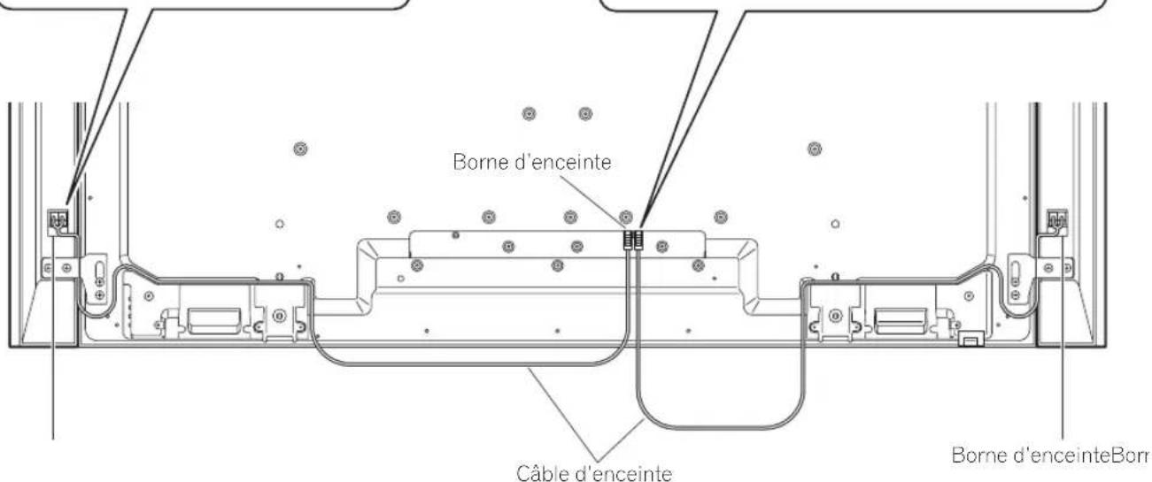 PIONEER Kuro KRPS02 - Branchement des câbles d'enceinte (côté moniteur à écran plat) - 2