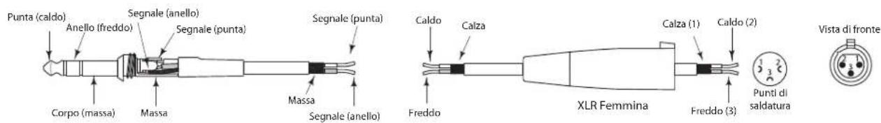 SAMSON Live L1212 - I Collegamenti della Serie Live - 3