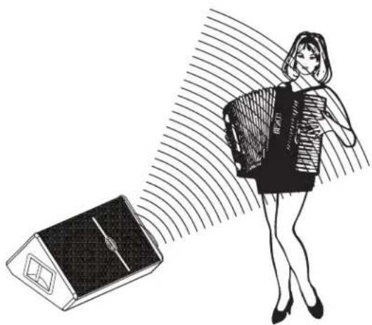 SAMSON Live L1212 - Il Posizionamento delle L612M come Monitor da Palco - 1