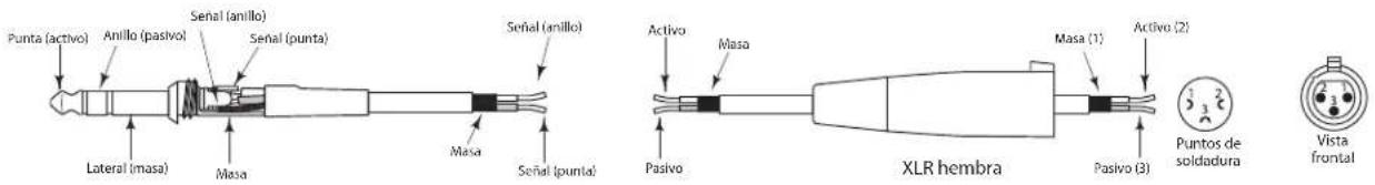 SAMSON Live L1212 - Conexión de los Live Series - 3