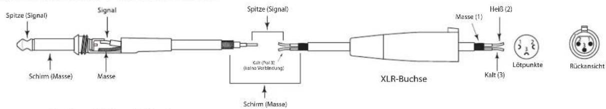 SAMSON Live L615 - Live-Serie anschließen - 5