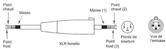 SAMSON Live L615 - Connexion des enceintes Live - 4