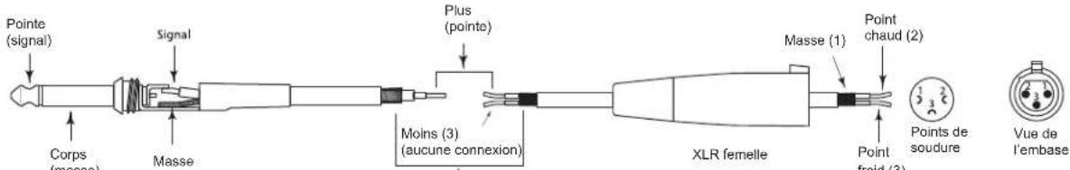 SAMSON Live L615 - Connexion des enceintes Live - 6