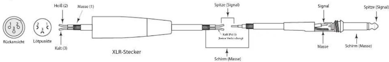 SAMSON Live L615 - Live-Serie anschließen - 4