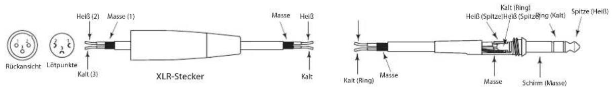 SAMSON Live L615 - Live-Serie anschließen - 2