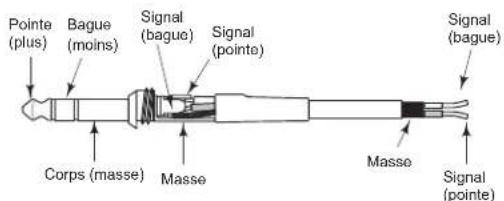 SAMSON Live L615 - Connexion des enceintes Live - 3